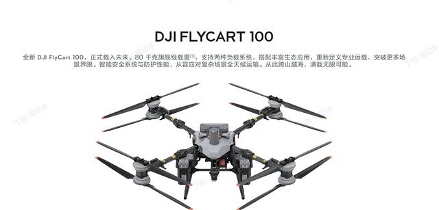 大疆機(jī)巢價(jià)格解析與運(yùn)載機(jī)FC30配置概述，兼談信息技術(shù)咨詢服務(wù)