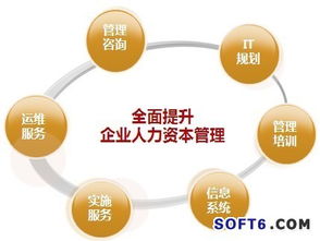 技術(shù)重塑管理 用友HCM博弈人力資源管理軟件市場(chǎng)